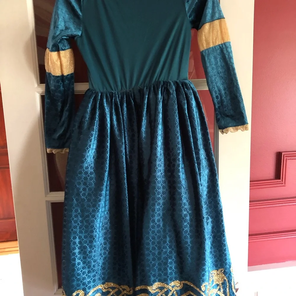 Disney Teal and Gold Princess Dress Costume